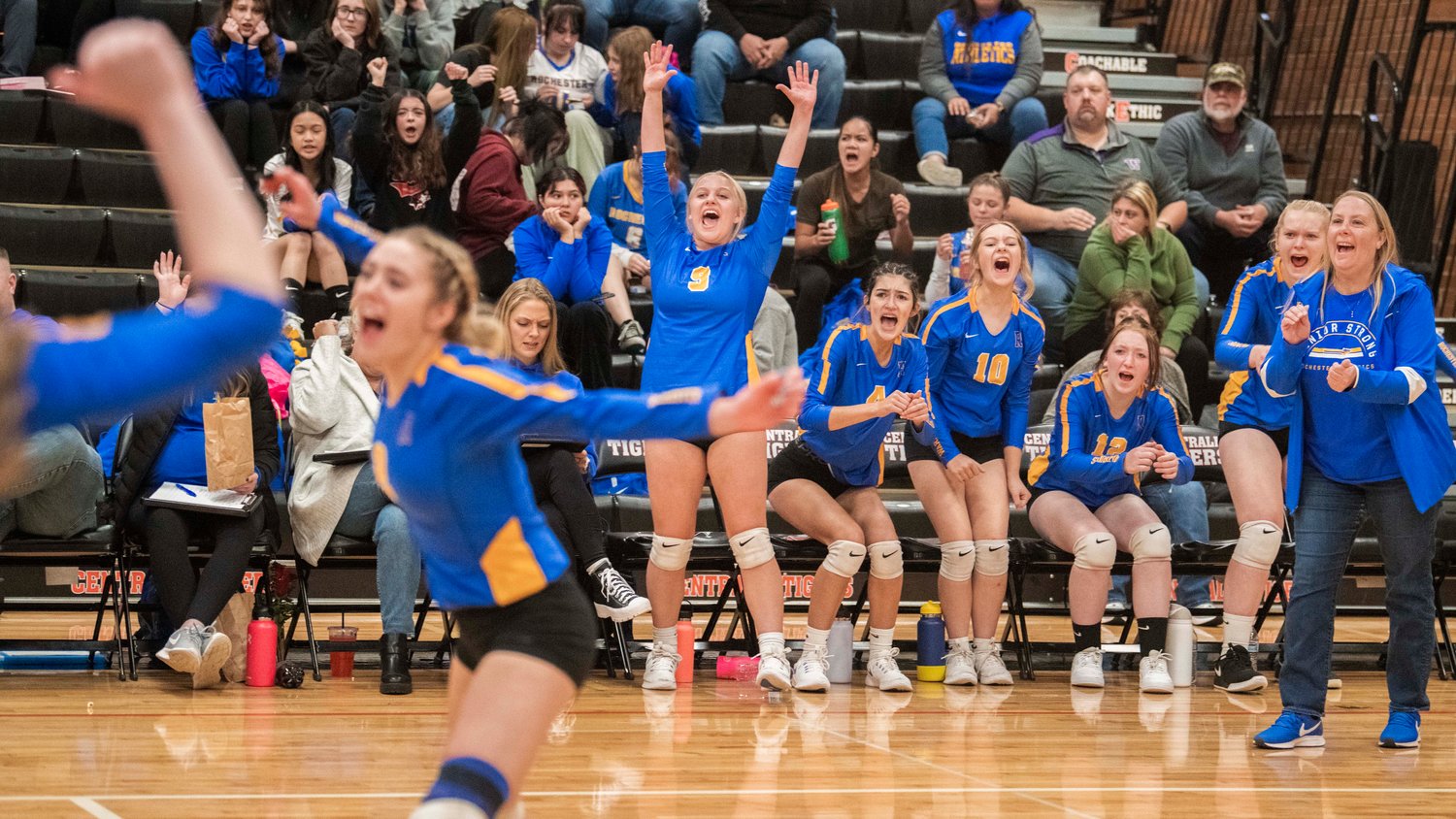 Warriors celebrate a point during a volleyball match against the Tigers Thursday night in Centralia.