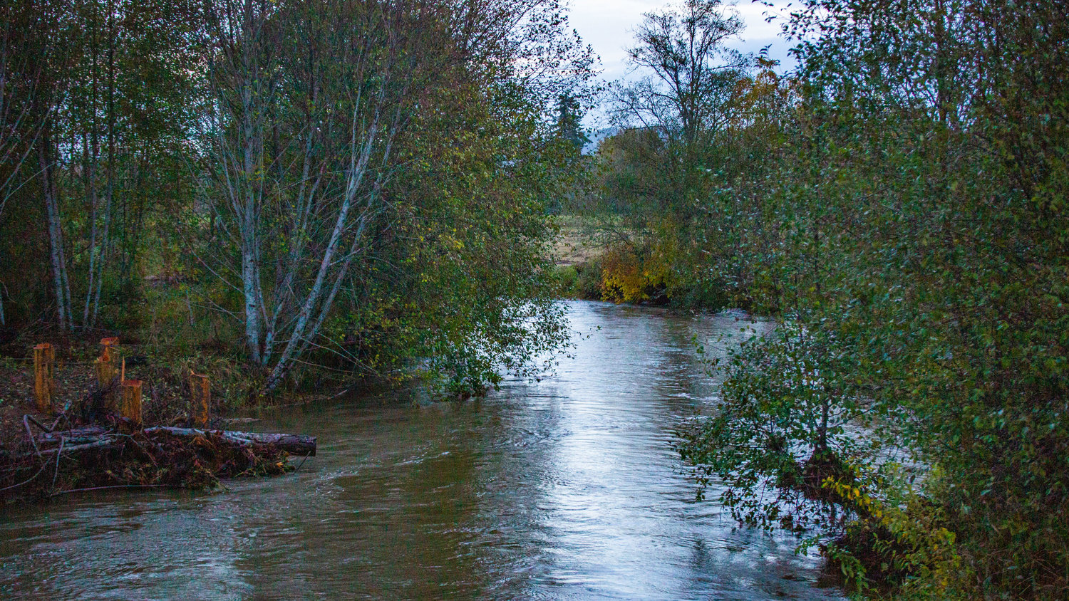 Stillman Creek is pictured from the Lost Valley Road Bridge near dawn on Saturday.