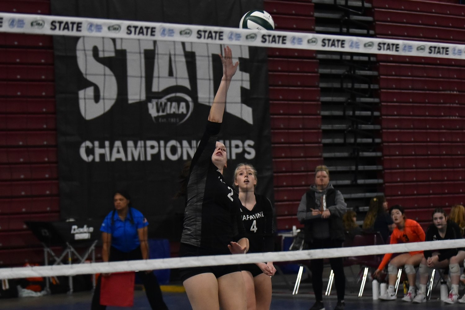 Anna Thompson sends the ball over the net during Napavine's three-set loss to Tri-Cities Prep on Nov. 11, in a loser-out match at the 2B state tournament in Yakima.