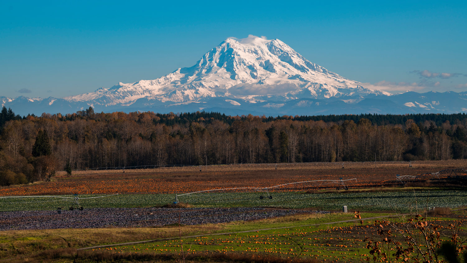 Mount Rainier is seen from Cook Road Southeast in Yelm in 2022.