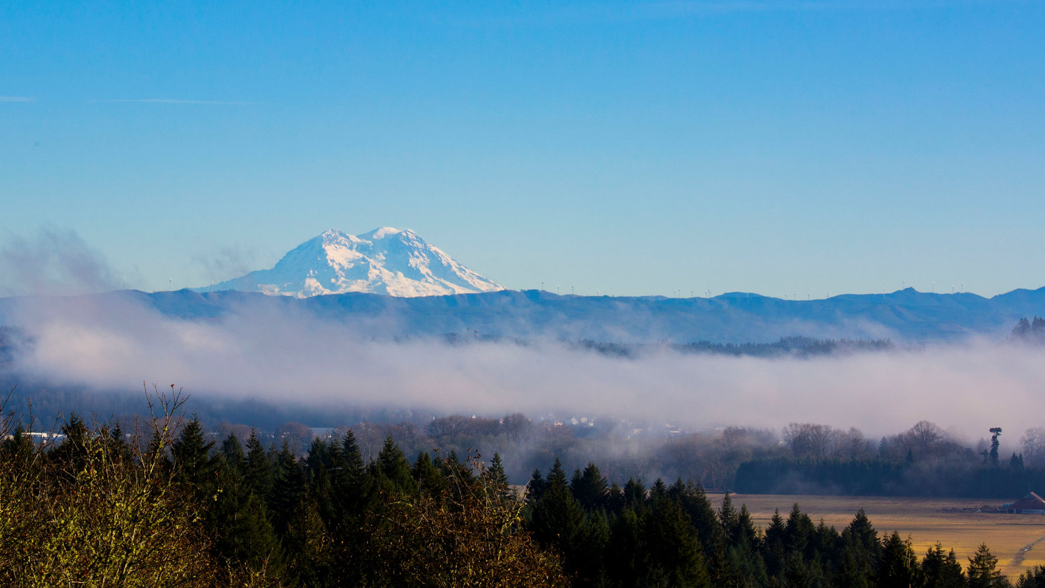 Mount Rainier stands against a clear blue sky as low clouds float in the foreground on Thanksgiving day, as seen from west of Chehalis.