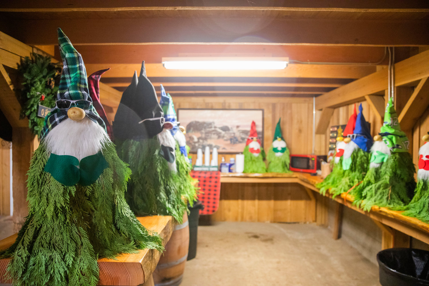 Christmas tree gnomes sit on display at the Mistletoe Tree Farm on Friday west of Chehalis.