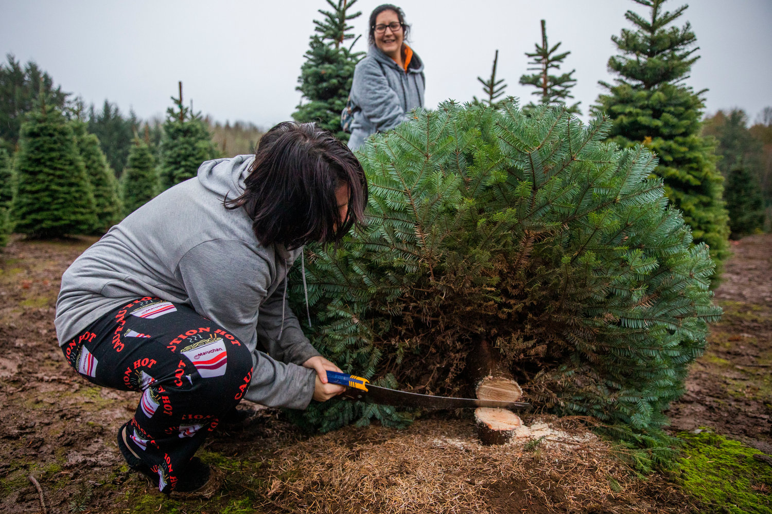 Winona Gladue smiles smiles and watches as her daughter Lily, 13, uses a saw to chop down a tree at the Mistletoe Tree Farm west of Chehalis on Friday.