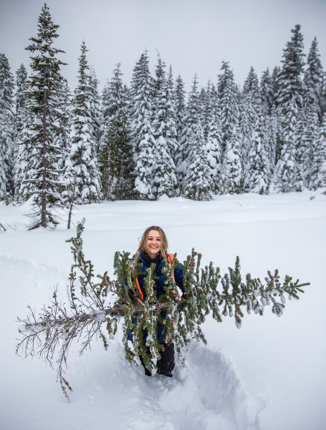 Reporter Isabel Vander Stoep smiles while carrying a spruce through snow after chopping down a tree with a permit from the U.S. Forest Service on Thursday off Forest Road 1284.