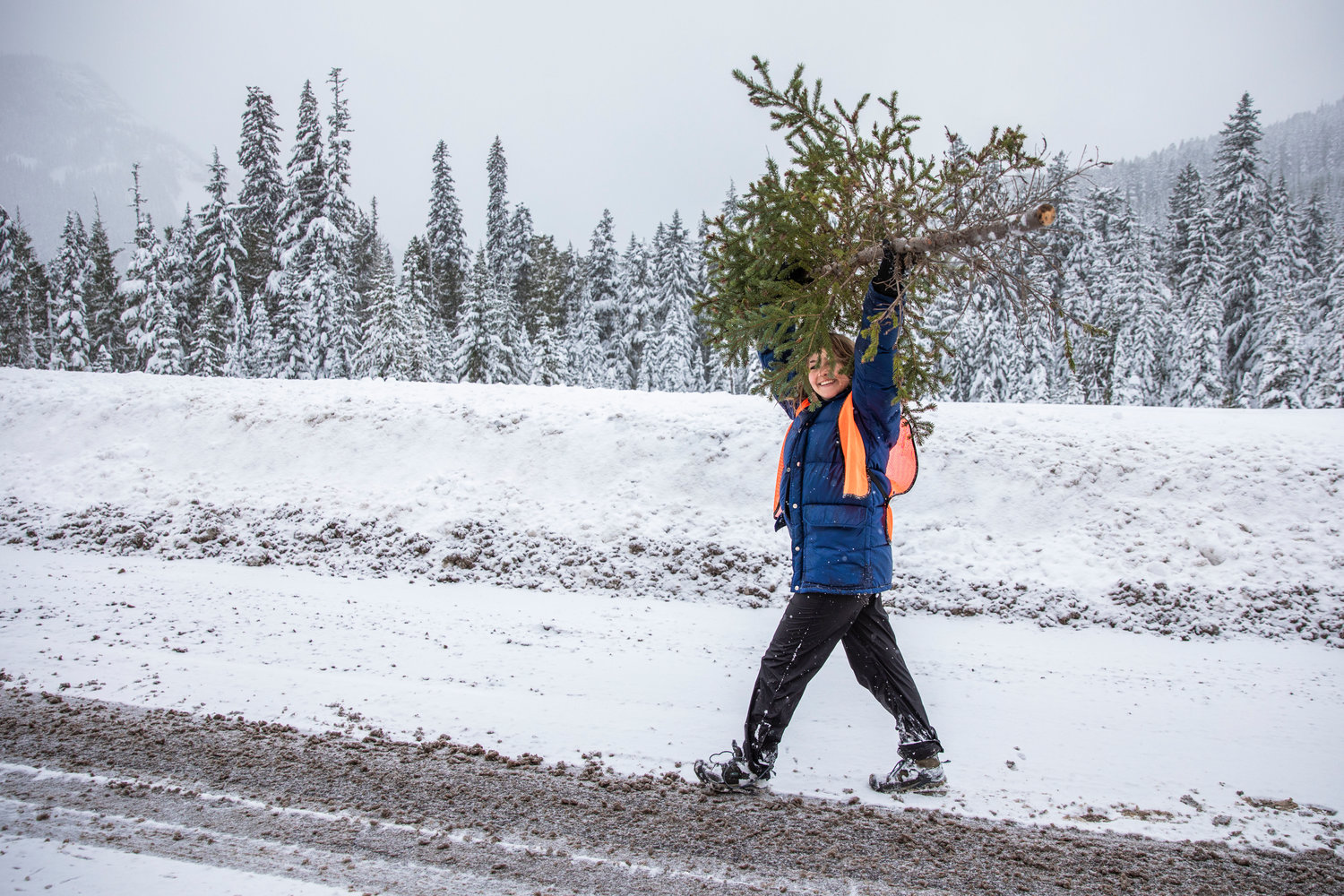 Reporter Isabel Vander Stoep smiles after carrying a spruce through snow on Thursday near Forest Road 1284.