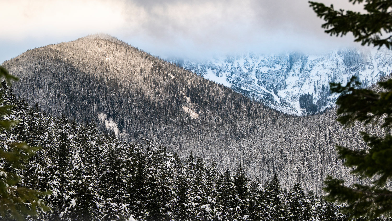 Snow covers trees as sunshine breaks through the clouds above rolling foothills of the Cascade Mountains above U.S. Highway 12 near White Pass on Tuesday.