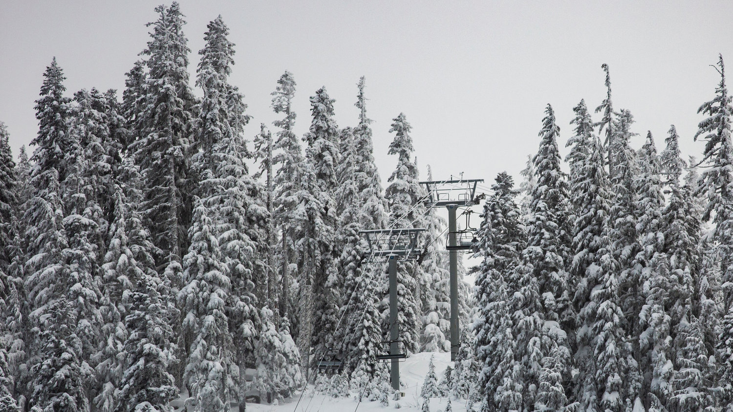 Chair lifts are seen through snow-covered evergreen trees at White Pass Ski Area on the line between Lewis and Yakima counties on Tuesday afternoon.