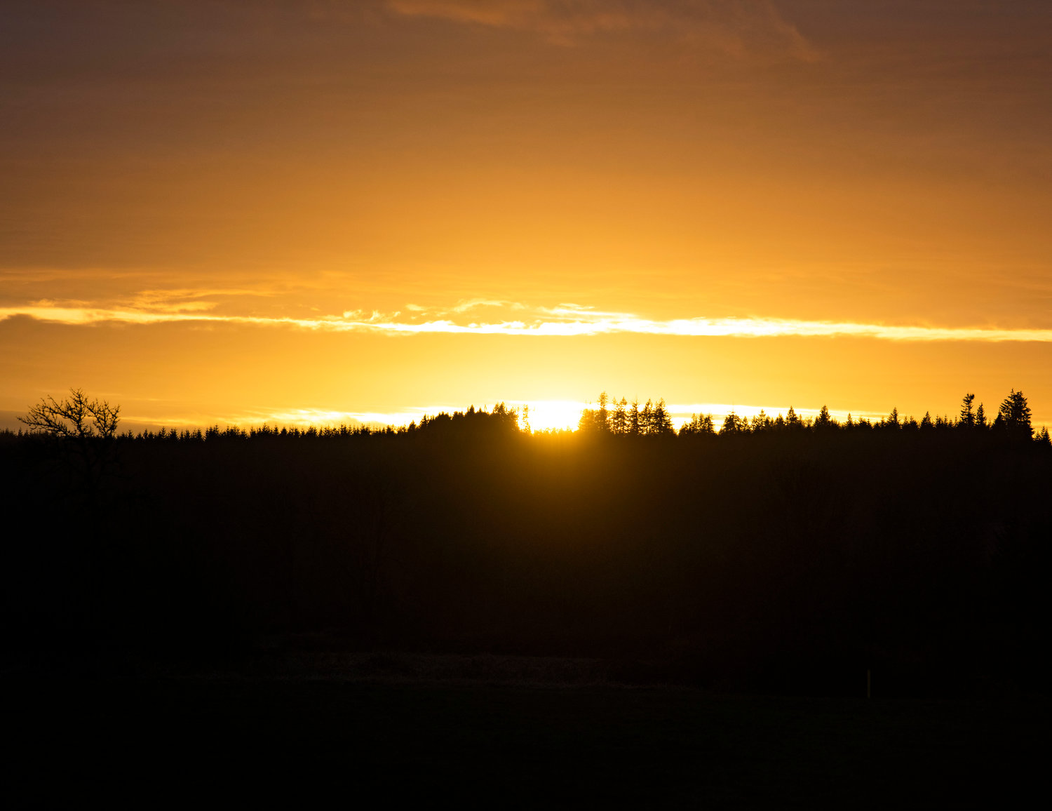 FILE PHOTO — The sun sets behind trees between Centralia and Chehalis.