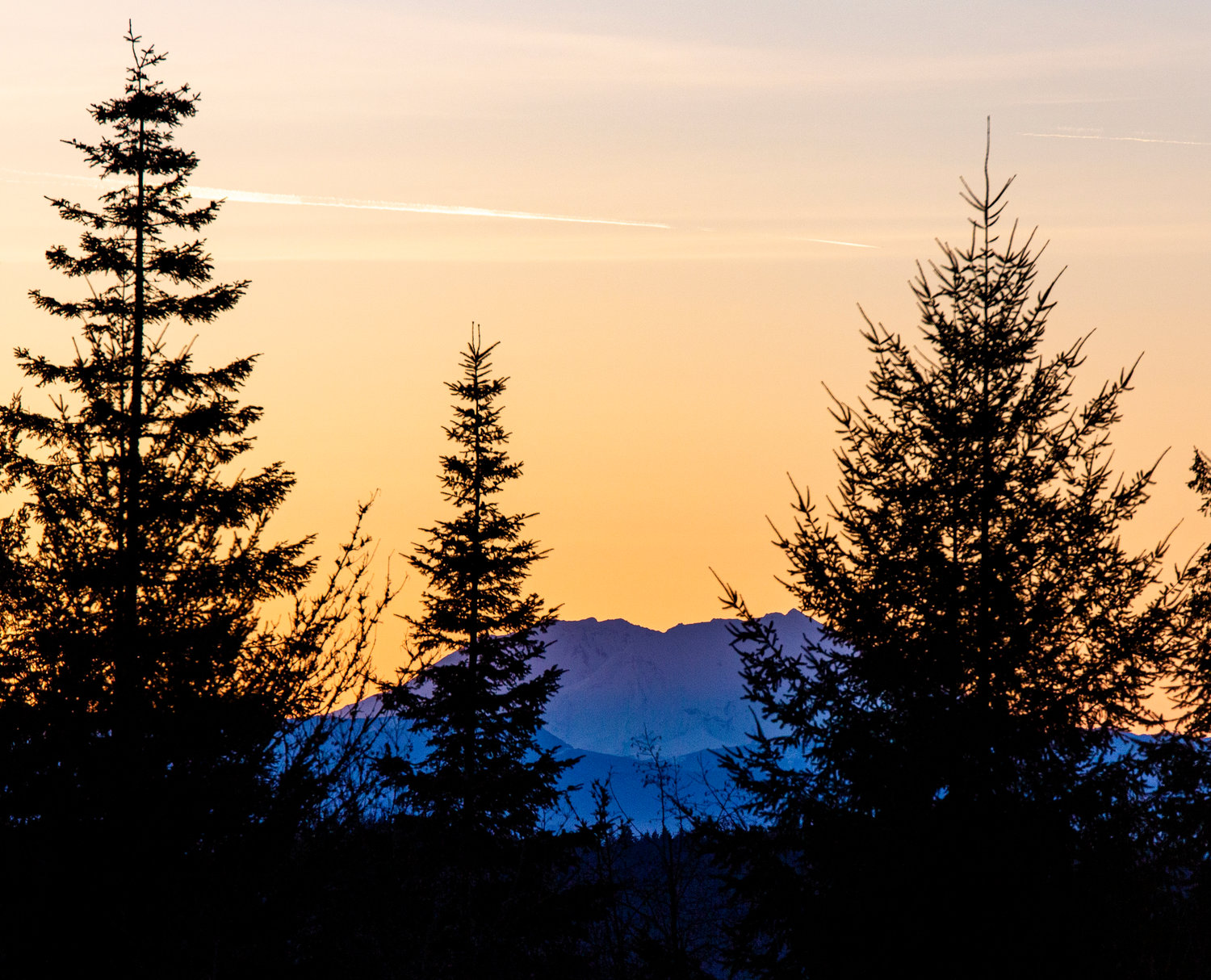 As the sun rises behind the Cascades, Mount St. Helens is indigo in this photo taken between Chehalis and Adna on Monday morning.