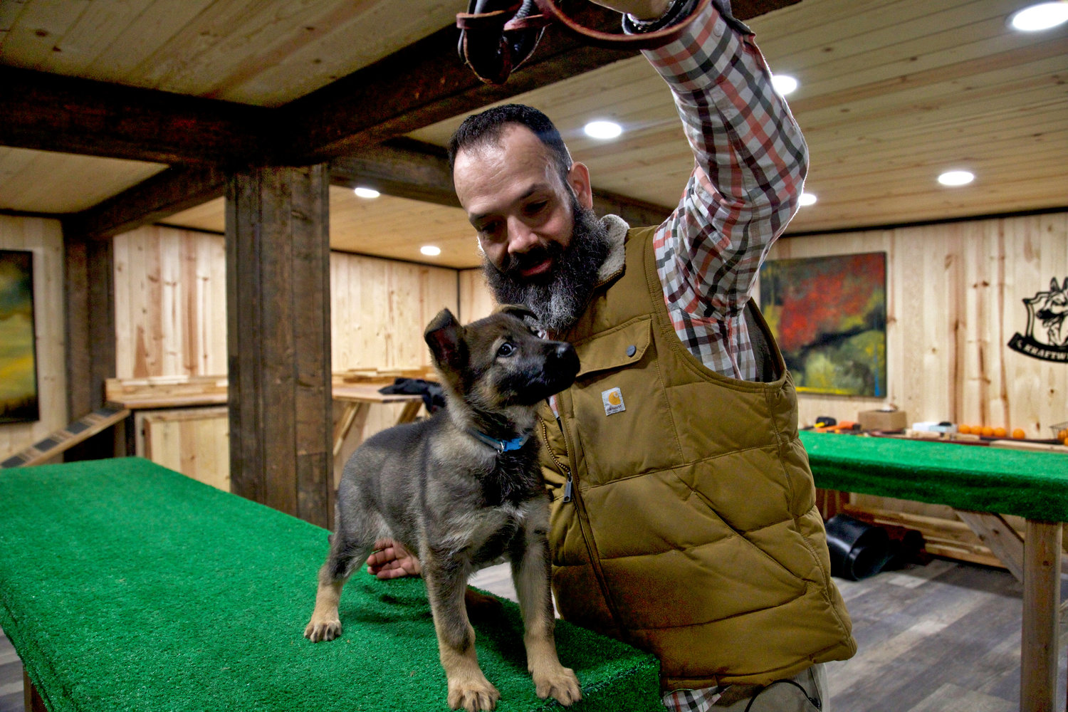 Trainer John Fay trains a German shepherd puppy at Kraftwerk K9 in Rochester last week.