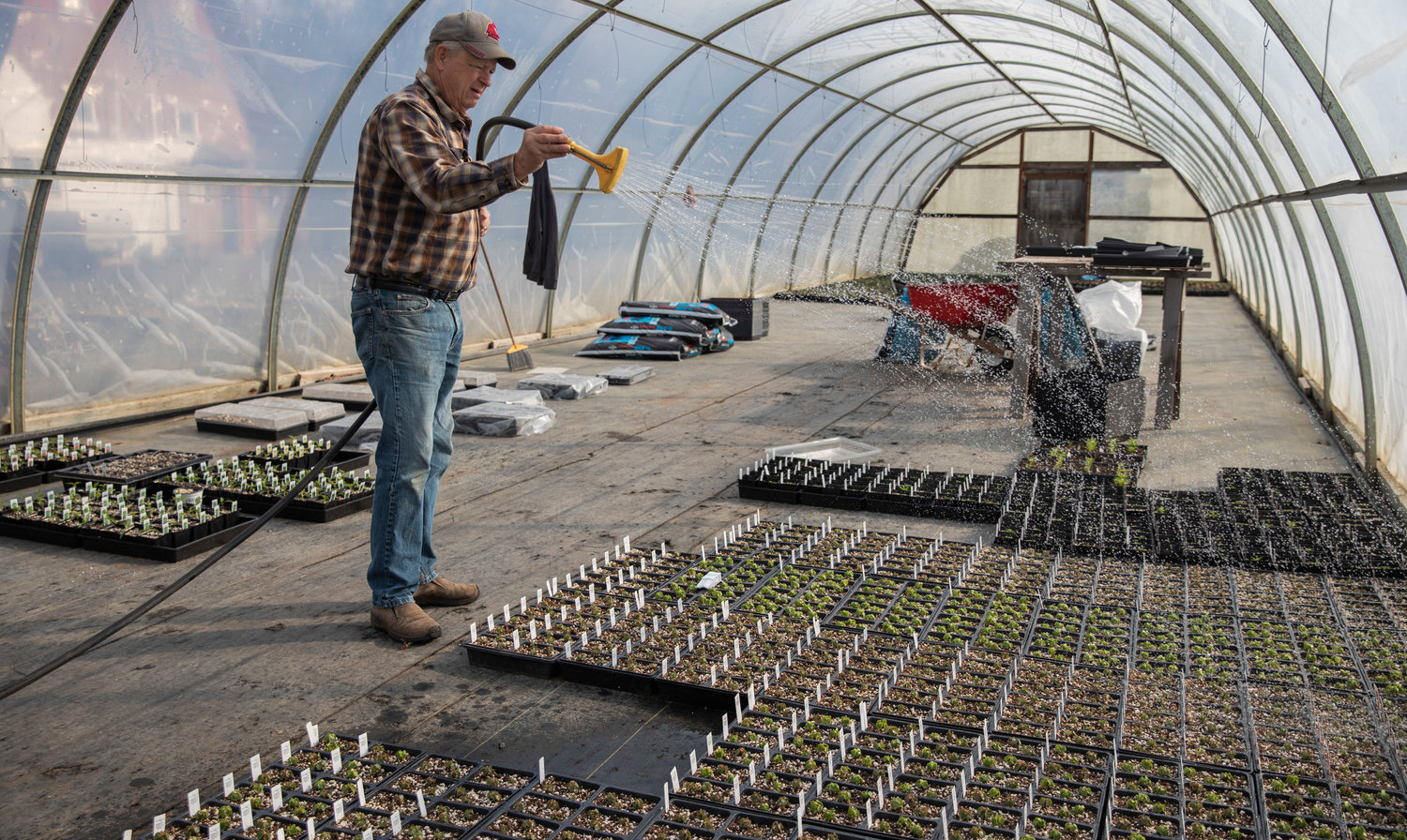 Spencer Davis continues to keep plants moist at the Dirty Thumb Nursery along state Route 6 near Adna on Wednesday.