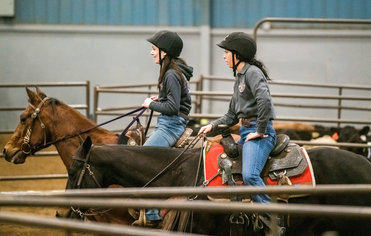 From left, Mossyrock High School senior Madison Smith and Centralia High School senior Jeznee Journee look to their teammates after a cow sorting event on Sunday, March 19, at the Grays Harbor County Fairgrounds.