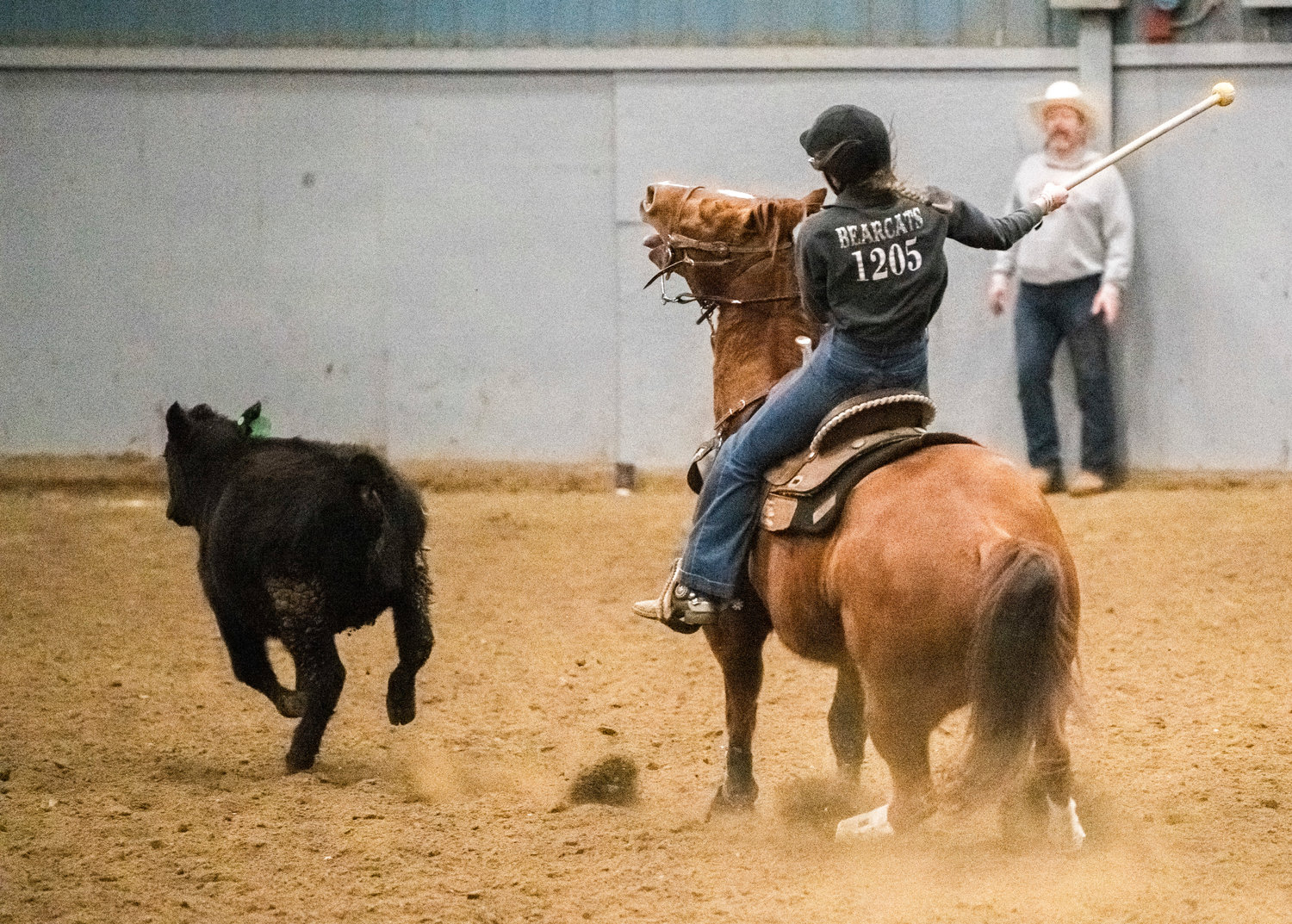 Savanna Dorning, of Adna, chases after a cow during a daubing competition for the W.F. West High School equestrian team during a district 6 meet on Sunday, March 19 at the Grays Harbor County Fairgrounds.