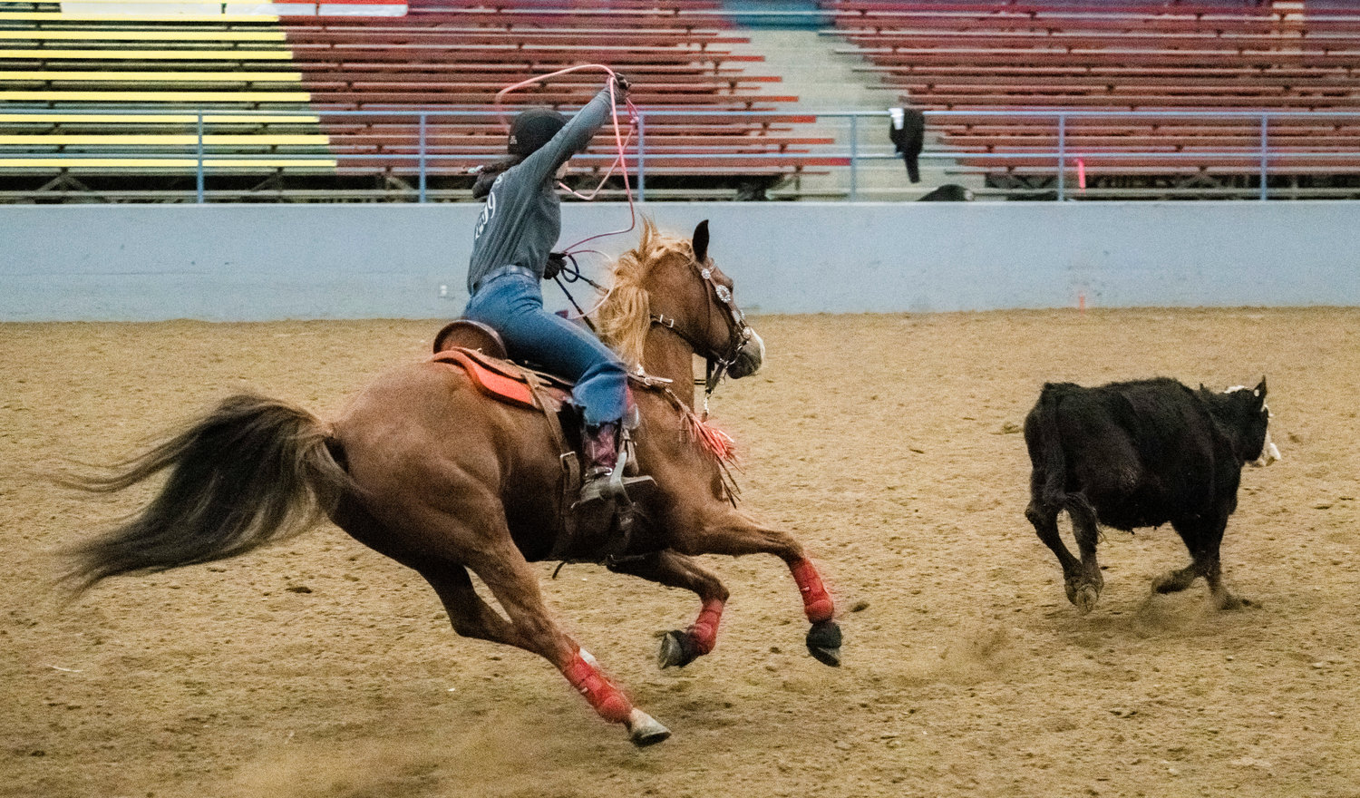 Mossyrock High School senior Josey Majors attempts to rope a calf for the W.F. West High School equestrian team during a district 6 meet on Sunday, March 19 at the Grays Harbor County Fairgrounds.