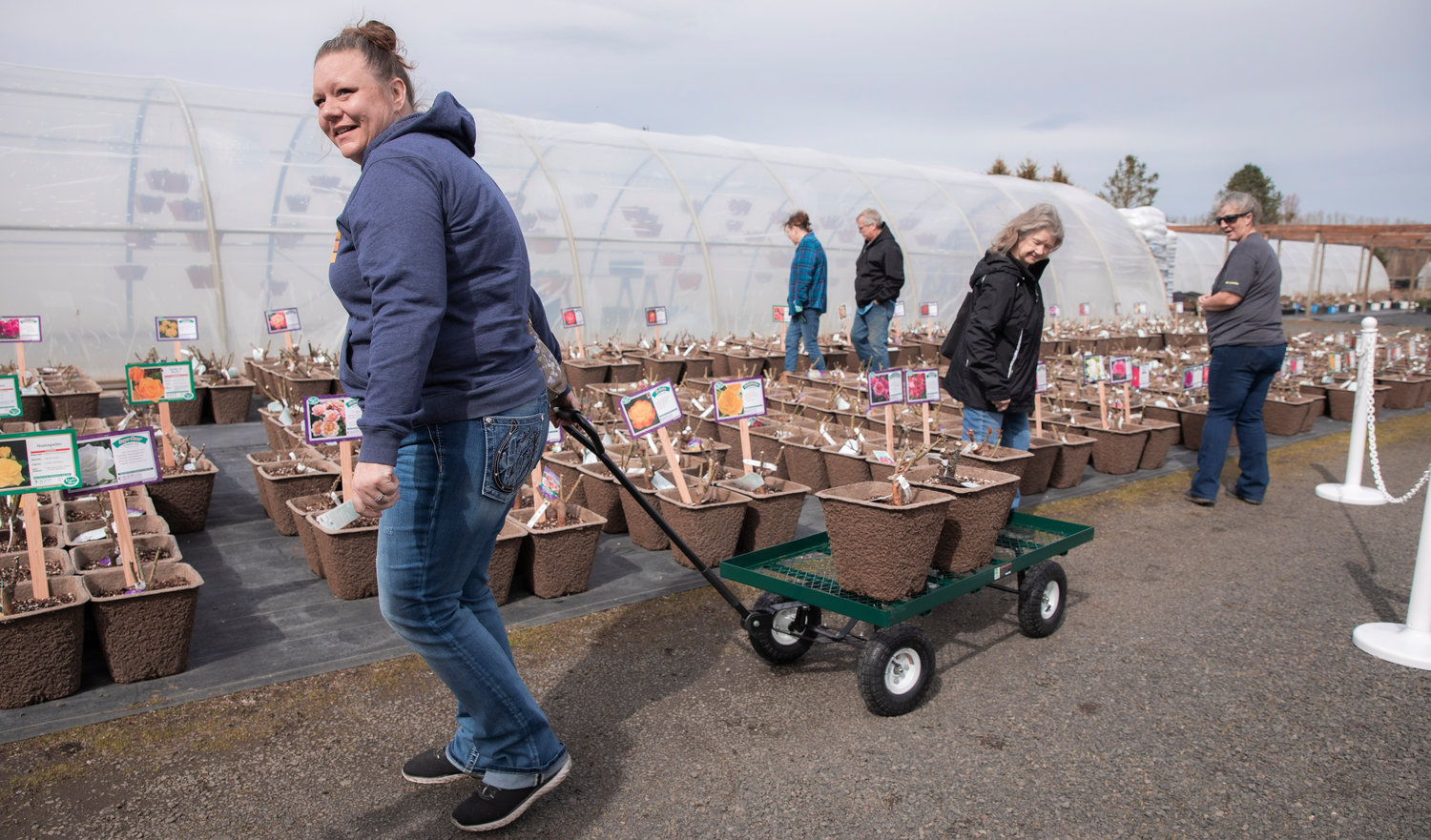 Visitors shop for roses during a ribbon cutting ceremony at Dirty Thumb Nursery in Adna on Tuesday, March 28, 2023.
