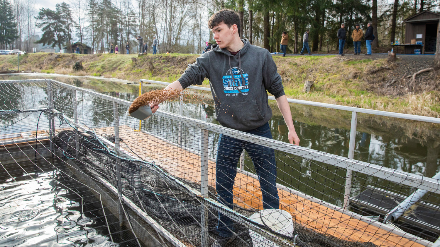 Taden Miller, a sophomore at Onalaska High School, feeds coho salmon and steelhead in a net pen at Carlisle Lake Thursday morning.