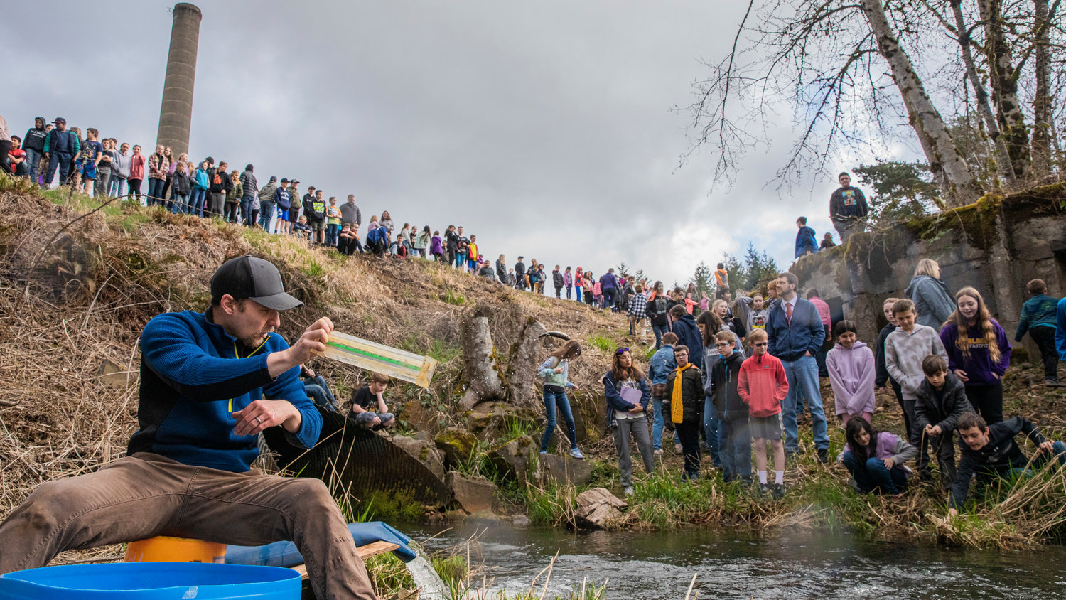 Coho salmon are measured and subsequently tossed into Gheer Creek near Carlisle Lake by Skookumchuck Hatchery Manager Jesse McMahan Thursday morning as students from the Onalaska School District watch.