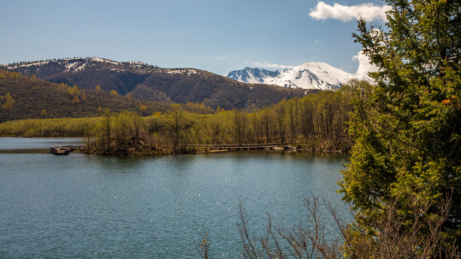 Mount St. Helens is seen beyond Coldwater Lake on Thursday, May 11.
