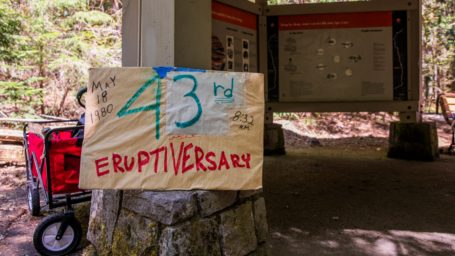 A sign honors the ‘43rd Eruptiversary,” of Mount St. Helens at the Ape Cave Interpretive Site in Cougar on opening day Thursday, May 18.