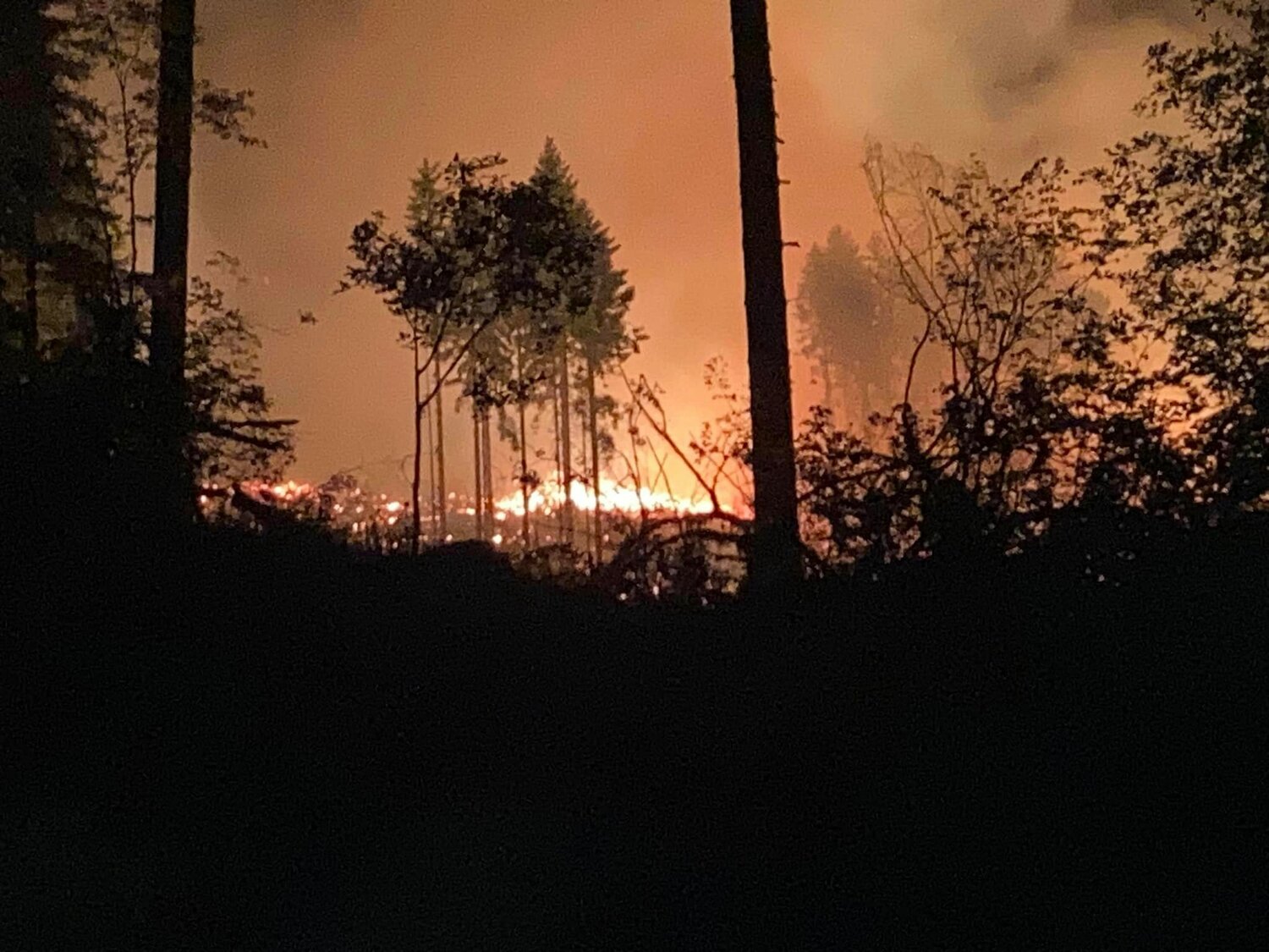 A fire that started Saturday night in Capitol Forest and burned about 40 acres is largely contained, West Thurston Fire officials announced in an update about 5 p.m. Sunday.