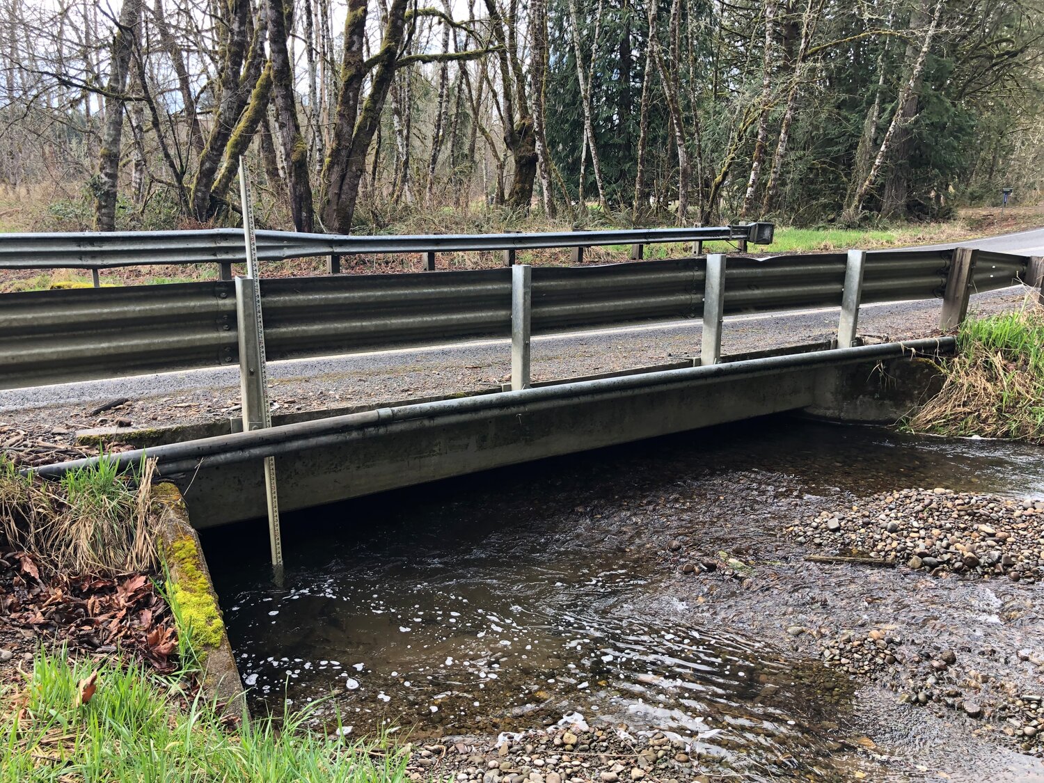 The Lewis County Public Works Department received $495,750 to restore a fish passage in the Blue Creek tributary, which is used by Chinook, chum and coho salmon and steelhead trout. The county will use the funds to develop plans to improve the Cowlitz Trout Hatchery, remove a bridge and grade the channel.