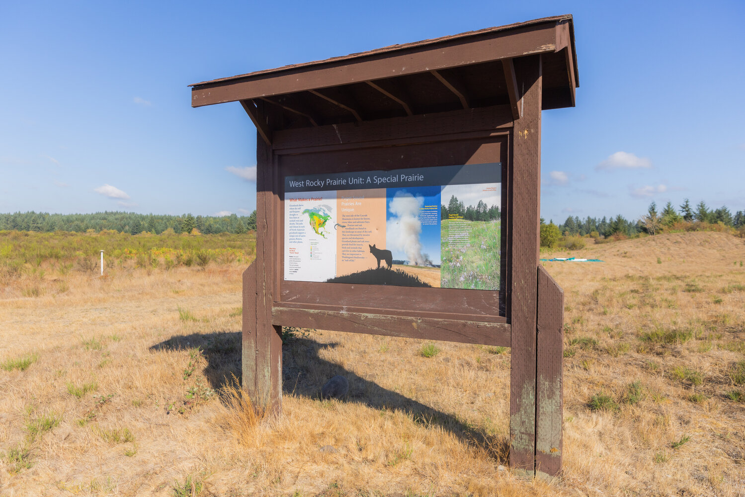 A sign displays information about wildlife and vegetation at West Rocky Prairie near Tenino on Thursday, Sept. 21.