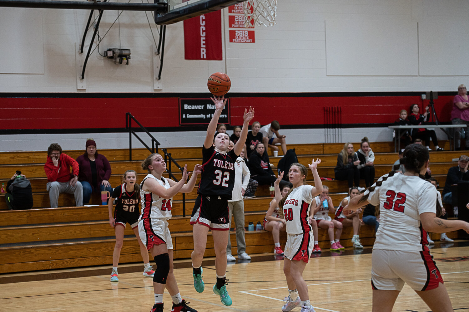 Ellie Fallon puts up a floater during Toledo's win at Tenino on Nov. 29.