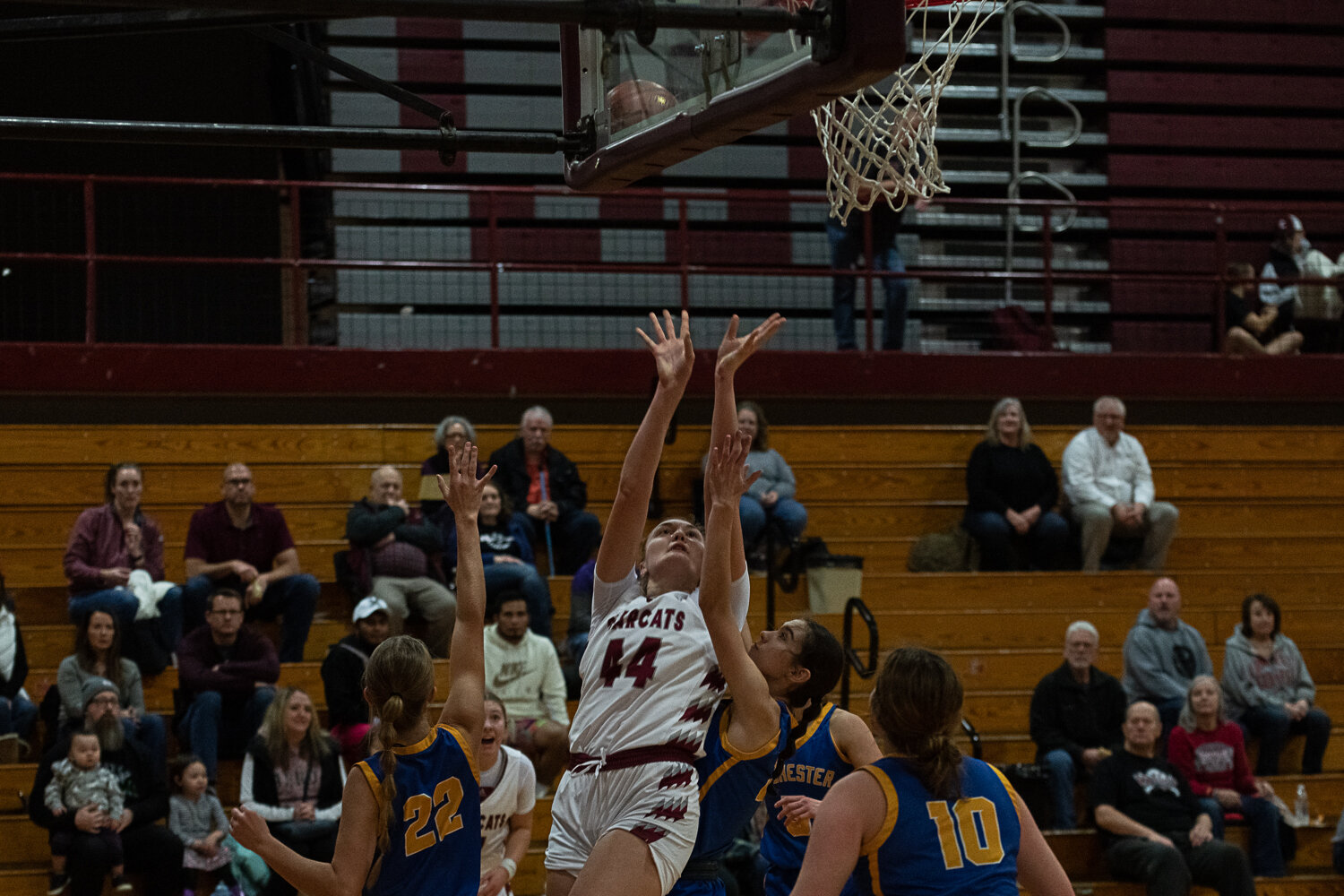 Julia Dalan fights through contact and banks in a bucket during W.F. West's win over Rochester on Dec. 6.
