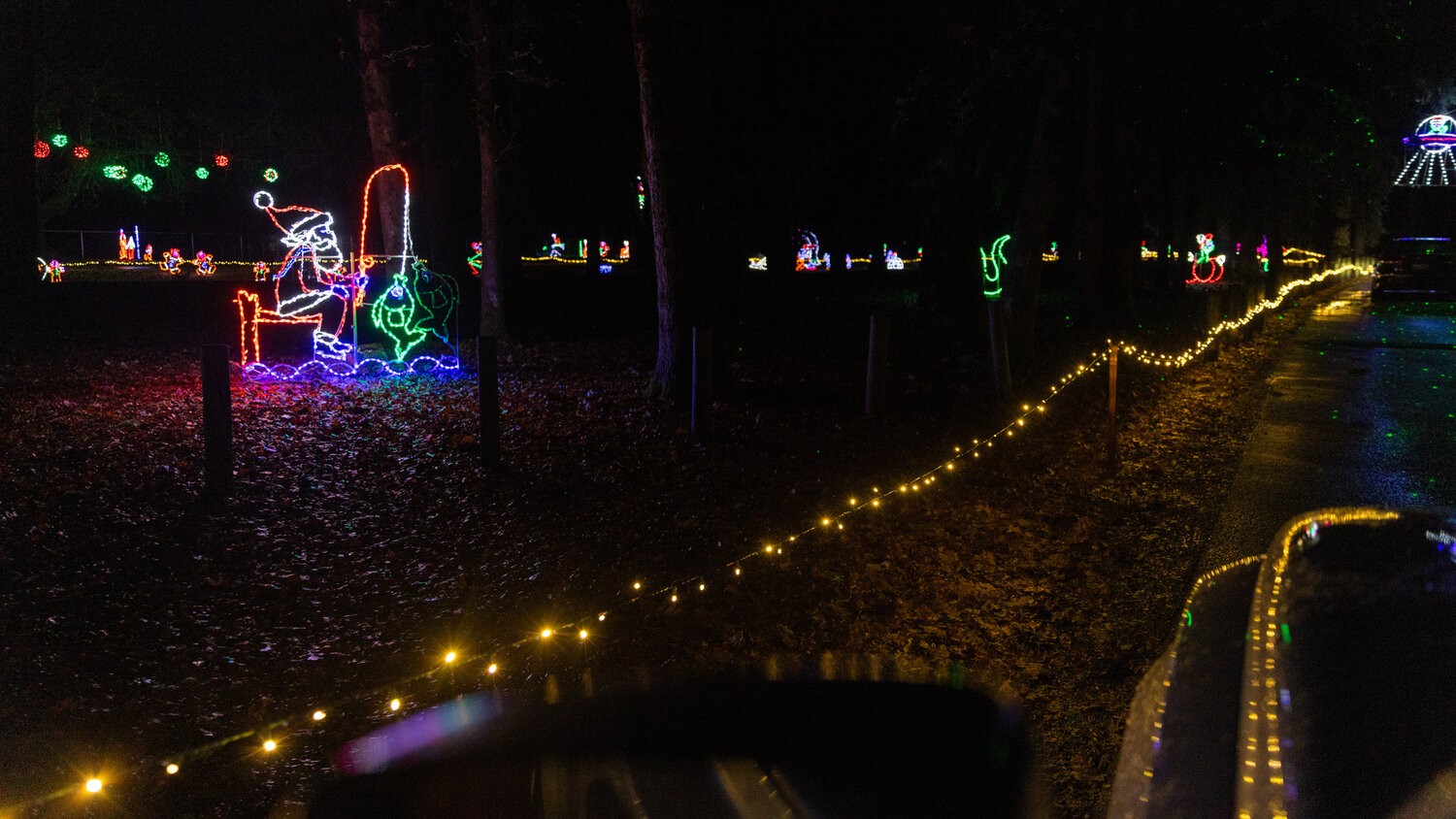 Lights illuminate a path around Borst Park as glows and flashes animate characters in Centralia on Thursday, Dec. 7.